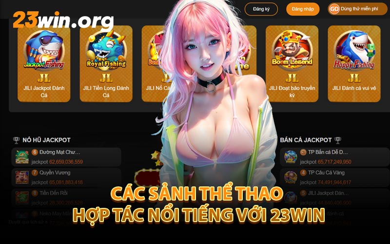 Các Sảnh Thể Thao Hợp Tác Nổi Tiếng Với 23Win